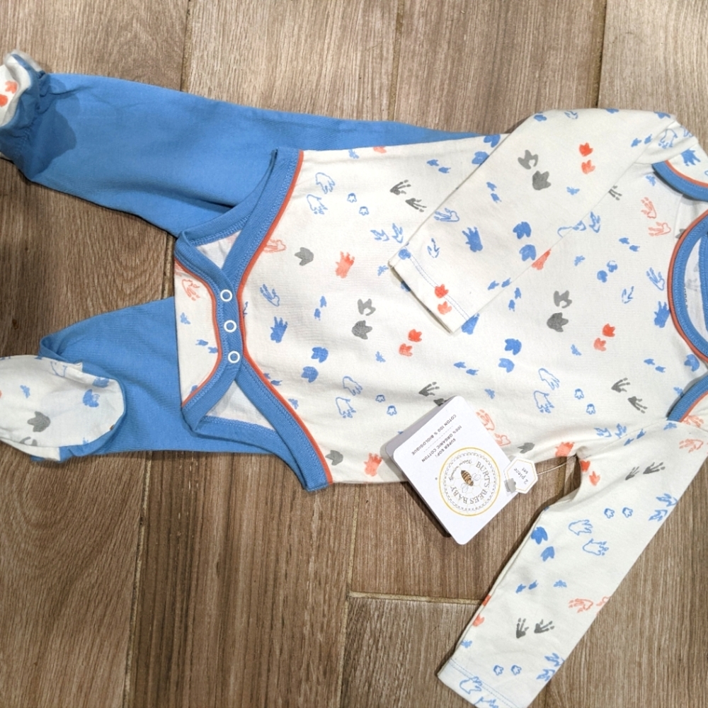 Bert's Bees Organic Onesie and pants set
